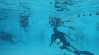 IMG_0092.jpg